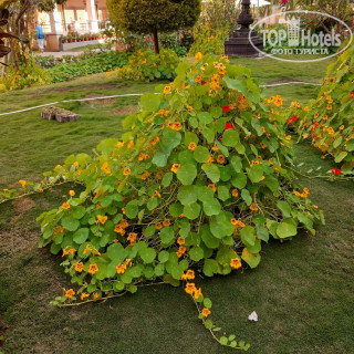 Фото Mount Kailash Resort