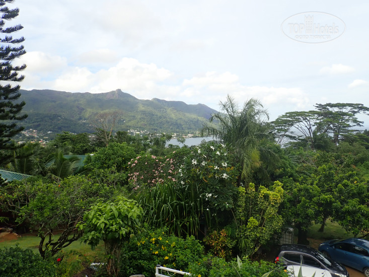 New photos from tourists Lemongrass Lodge