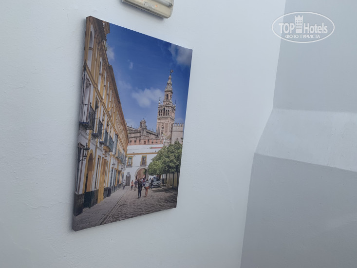 New photos from tourists Alcobia Hostal 1*