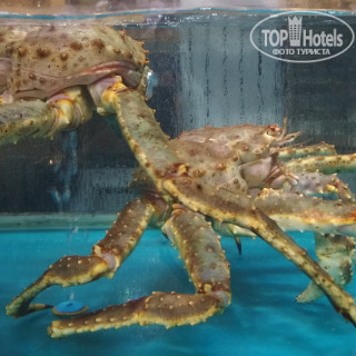 Фото Tianma Narada Grand Hotel