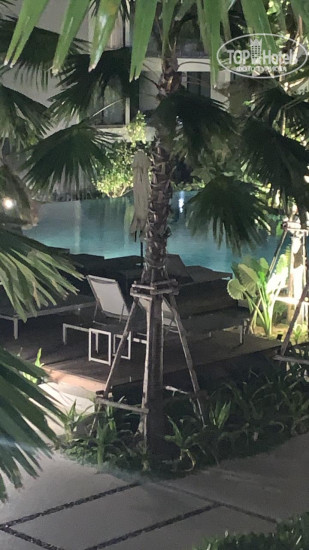 New photos from tourists Stay Wellbeing & Lifestyle Resort 5*