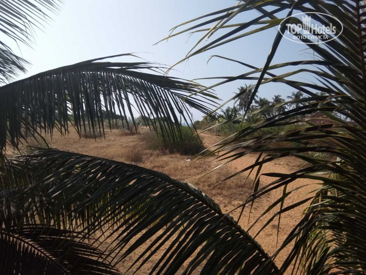 New photos from tourists Nisu Beach Hotel 3*