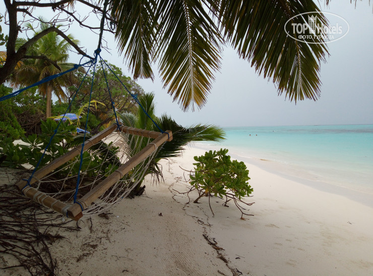 Hotelier's photos Relax Residence Thoddoo Maldives 4*