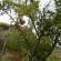 Photos Casa Antonio