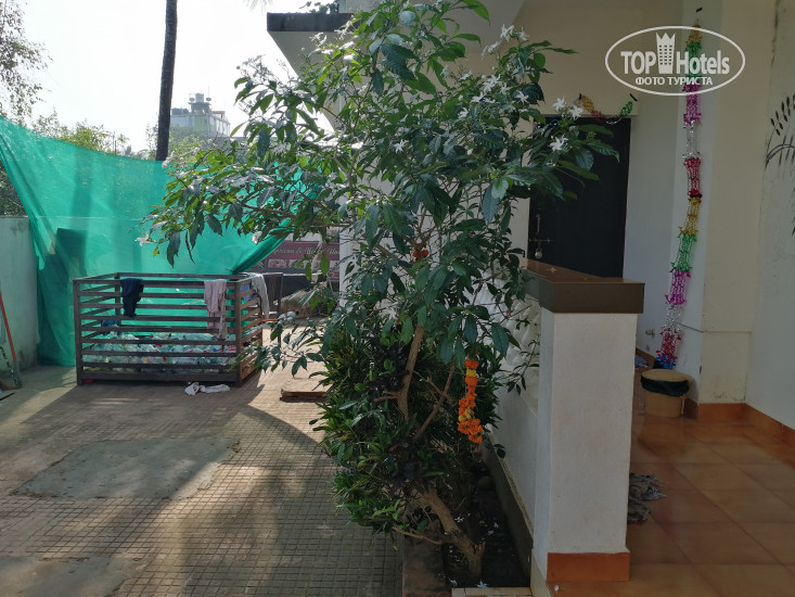 New photos from tourists Peacock Hospitalidade Beach Resort