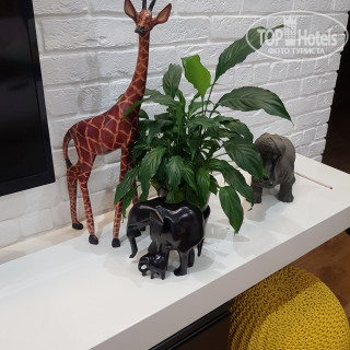 Photos Azao Resort & Spa