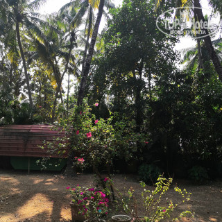 Photos Wavelet Beach Resort
