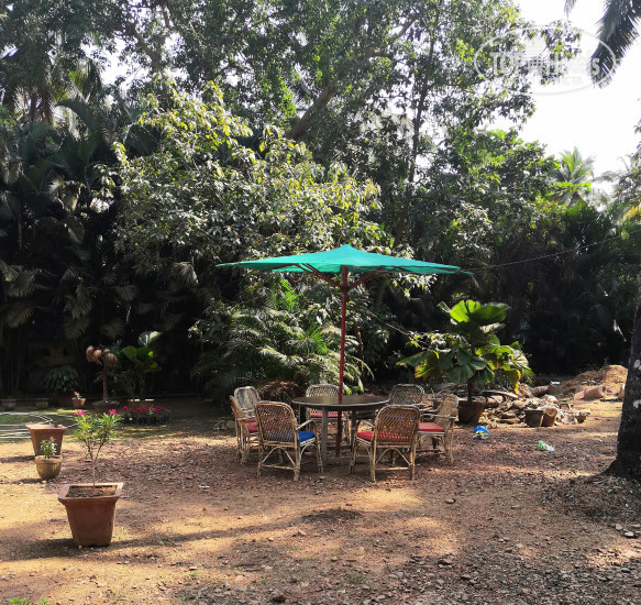 New photos from tourists Wavelet Beach Resort