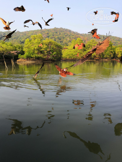 Hotel photo Wavelet Beach Resort 