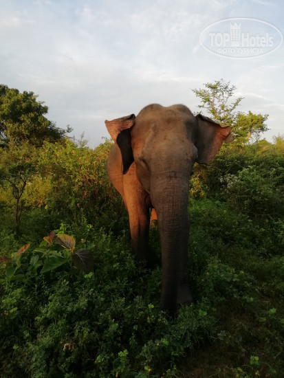 Hotelier's photos Nature Lovers Family Safari House And Cottage