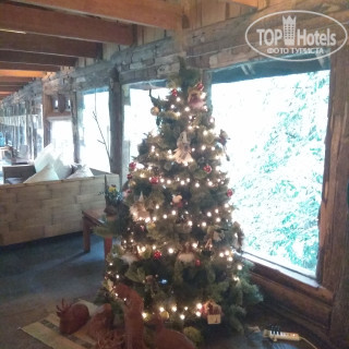 Фото Huilo Huilo Nothofagus Hotel & Spa