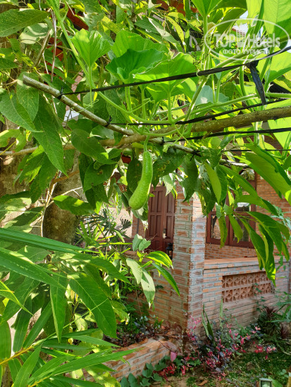 Hotel photo Red Resort 4*