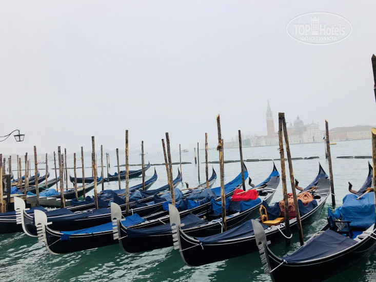 New photos from tourists San Samuele Hotel