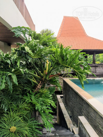 Hotelier's photos The Bija Villas 3*