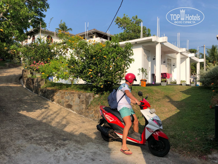 New photos from tourists Villa De White Sambur