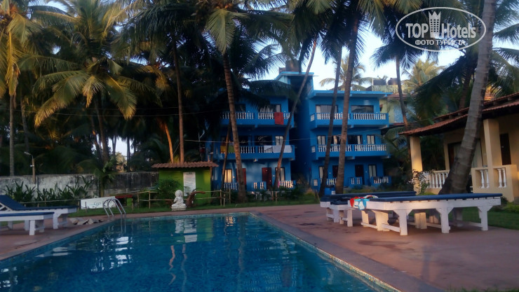 New photos from tourists Shaan Coco Palms Beach Resort 3*