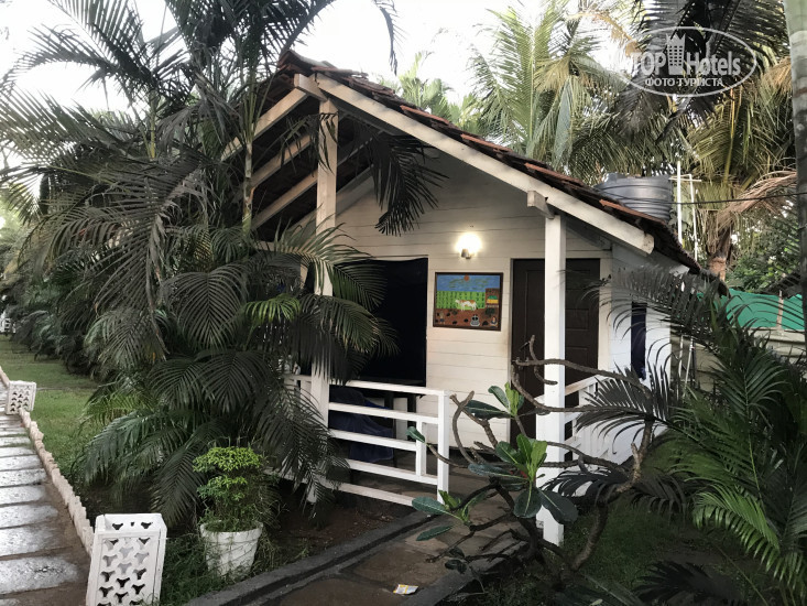 New photos from tourists Rock Water Resort