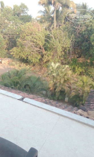 New photos from tourists Star Villa Guest House