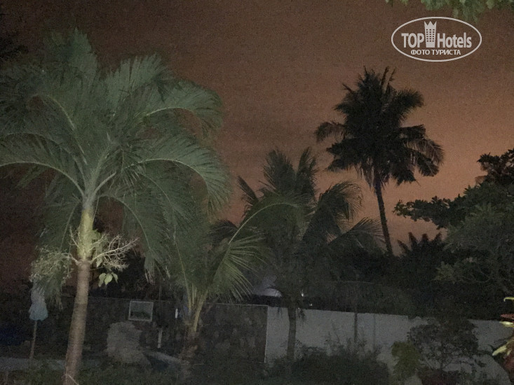 New photos from tourists Coral Sea Resort 3*