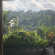 Photos The Kayon Jungle Resort
