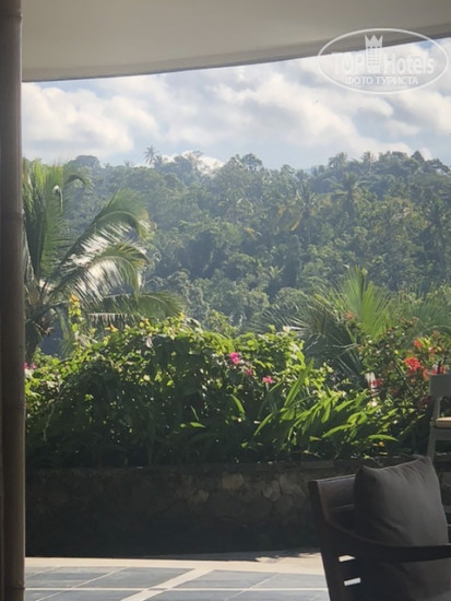 Фото The Kayon Jungle Resort