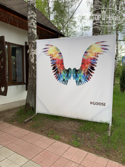 Hotel photo Гуси-Лебеди 