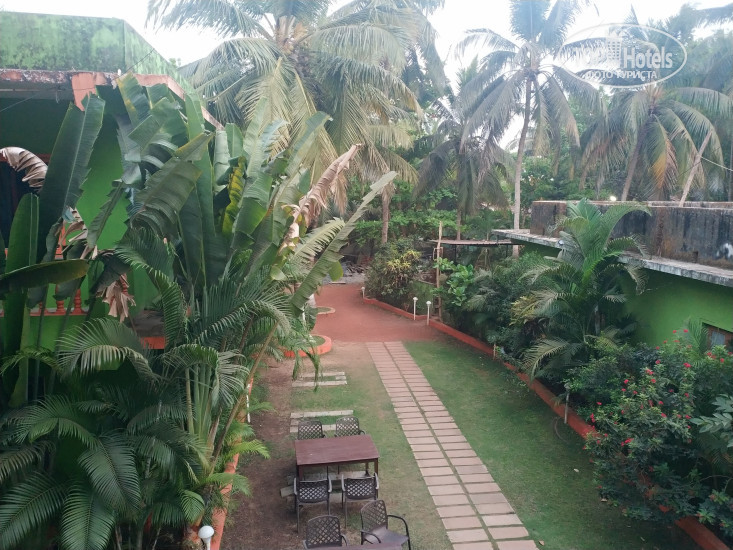New photos from tourists Taalva Morjim