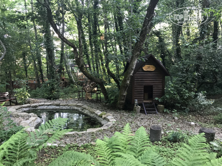 New photos from tourists Park hotel Jazz Loo (closed) 3*