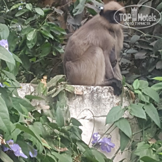 Фото Hotel Priyadarshini Pride