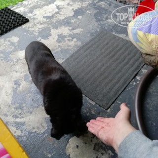 Фото Wooden house