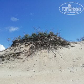 Фото Гостевой дом Куршская коса