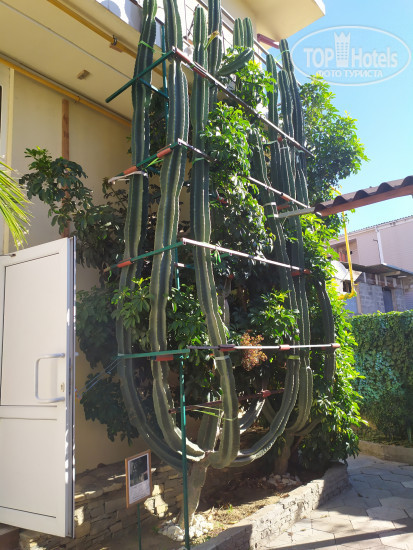New photos from tourists Guest House Daniel