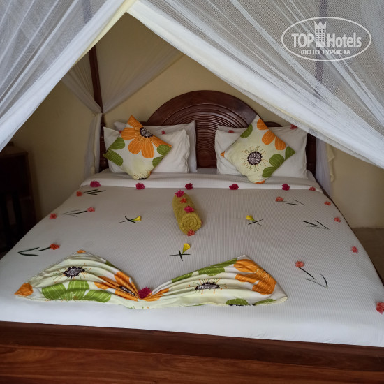 Hotel photo Greens Nungwi 