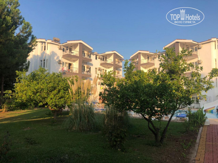 New photos from tourists Club Solis Garden