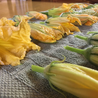 Photos Azienda Agricola Palazzo Manzoni