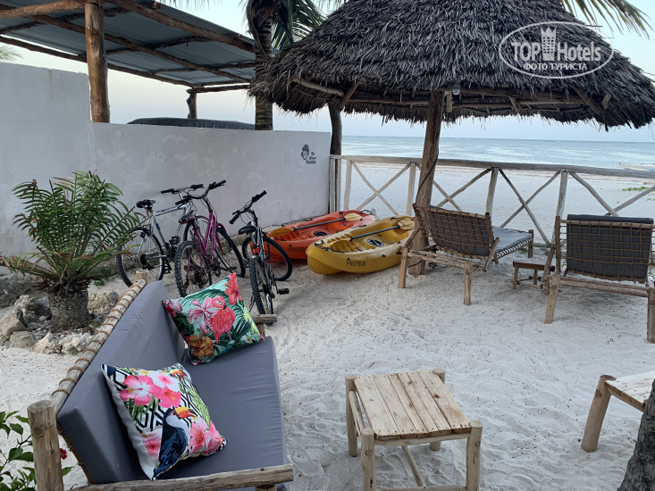 New photos from tourists The African Paradise Beach Hotel 3*