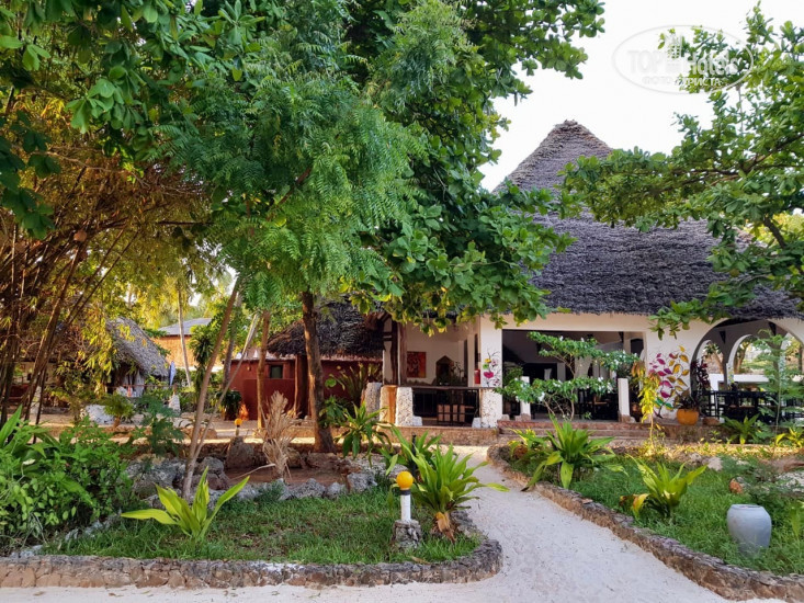 New photos from tourists Waikiki Resort Zanzibar 3*