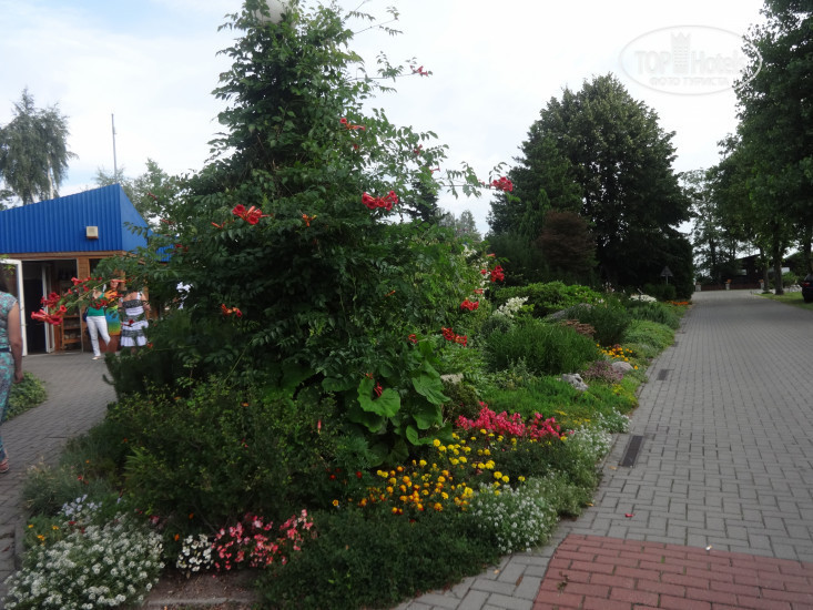 New photos from tourists Marina Hotele Przestrzenna 2*