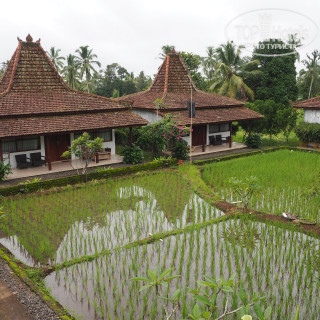 Photos Kampoeng Joglo Ijen