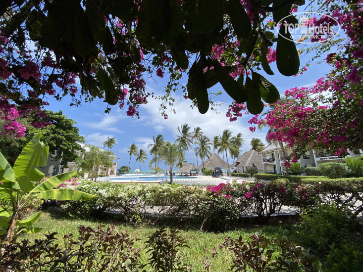 New photos from tourists African Sun Sand Sea Beach Resort & Spa