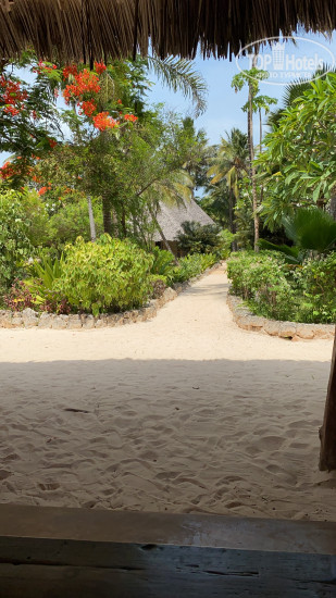 Hotel photo Zanzibar Pearl - Boutique Hotel & Villas 4*