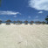 Фото Sunrise Beach Villa (ex.Mchanga Beach Lodge)