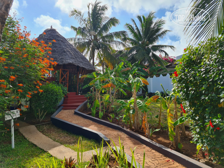 New photos from tourists Kendwa Beach Resort 5*