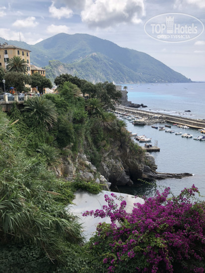 New photos from tourists Melia Genova 5*