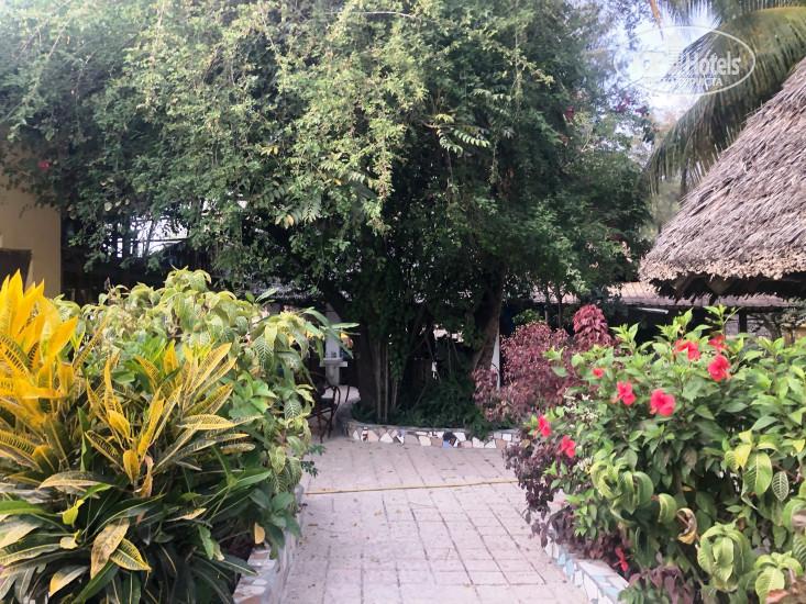 New photos from tourists Baraka Beach Bungalows
