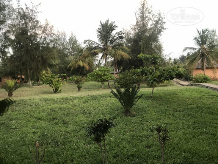 Hotelier's photos VR Club Paje Palms Beach Resort 4*