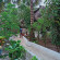 Photos Mnyasa Bungalows