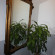 Photos Hotel Mediterranee