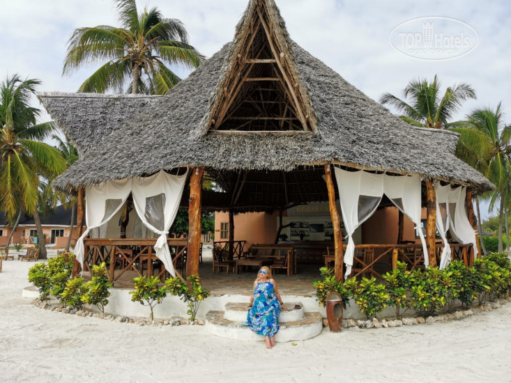 New photos from tourists VR Club Paje Palms Beach Resort 4*