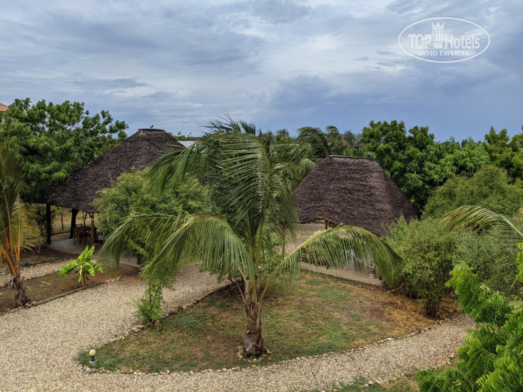 New photos from tourists Maama Nungwi Lodge 3*